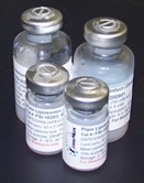 Cationic Liposomes DC-CHOL/DOPE