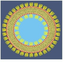 2nd-generation-liposome.jpg