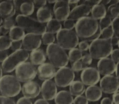 cryo_em_fr_nanoimaging_02.jpg cryo_em_fr_nanoimaging_02.jpg