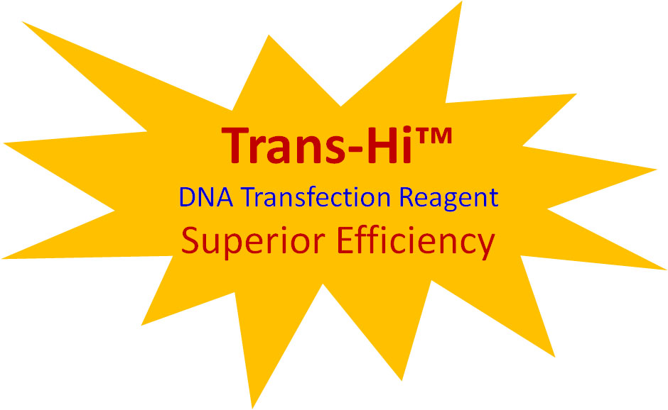 trans-hi-promotion.jpg trans-hi-promotion.jpg